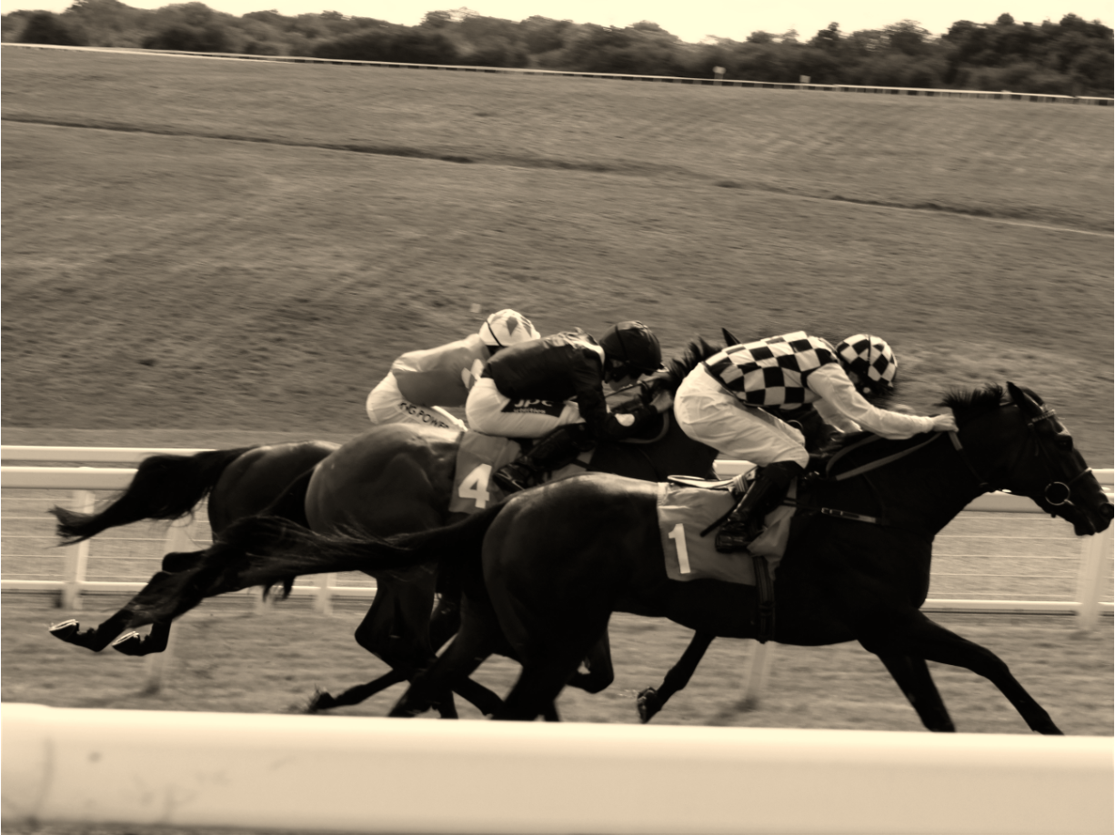 Horse race representing determination and recovery